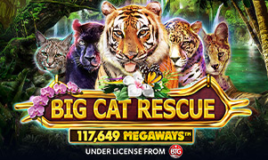 188bet Big Cat Rescue Megaways